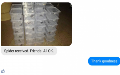 Testimonial From China