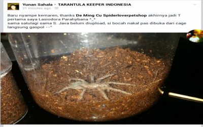 Yunan Sahala