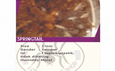 SPRINGTAIL 15 GRAM