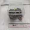 TARANTULA ENCLOSURE 